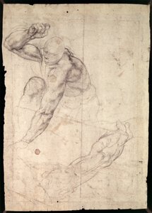 男性人物研究 作者 米开朗基罗（Michelangelo Buonarroti）